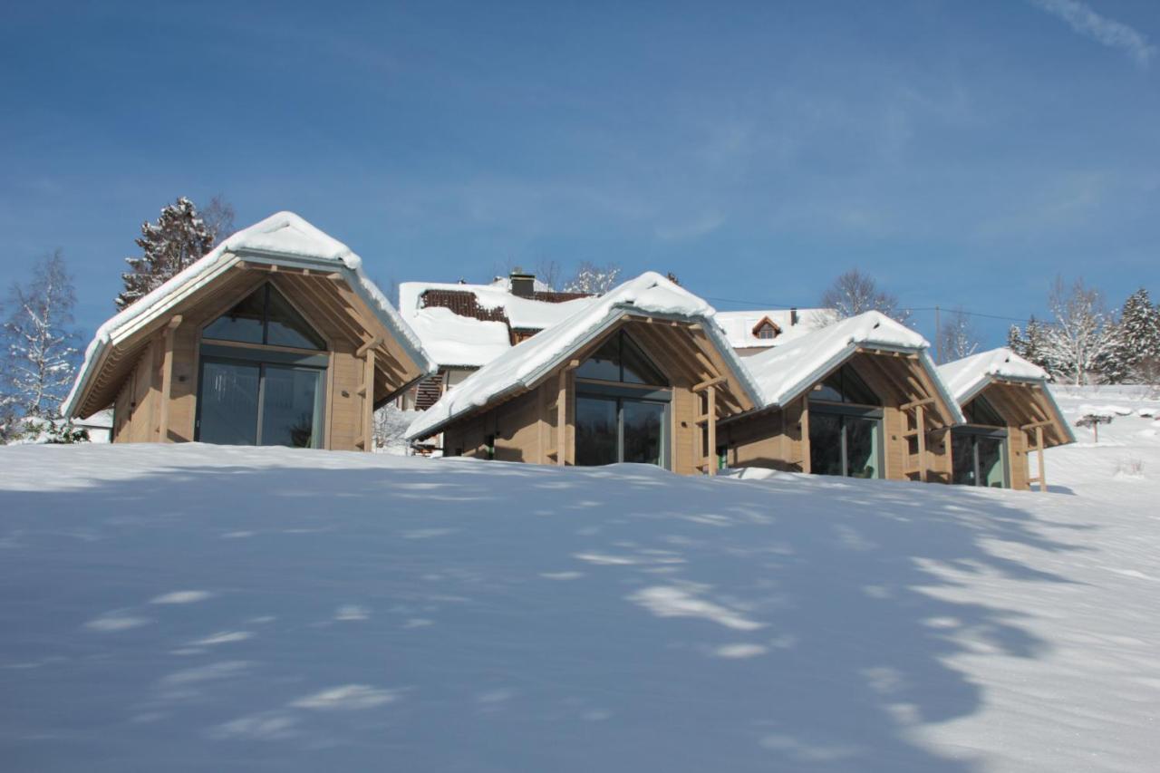 Chalets Am Roessle Todtmoos Zewnętrze zdjęcie