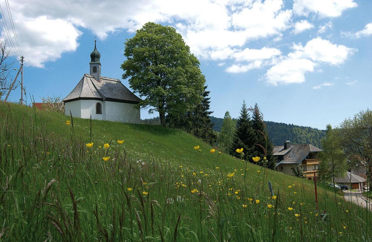 Chalets Am Roessle Todtmoos Zewnętrze zdjęcie
