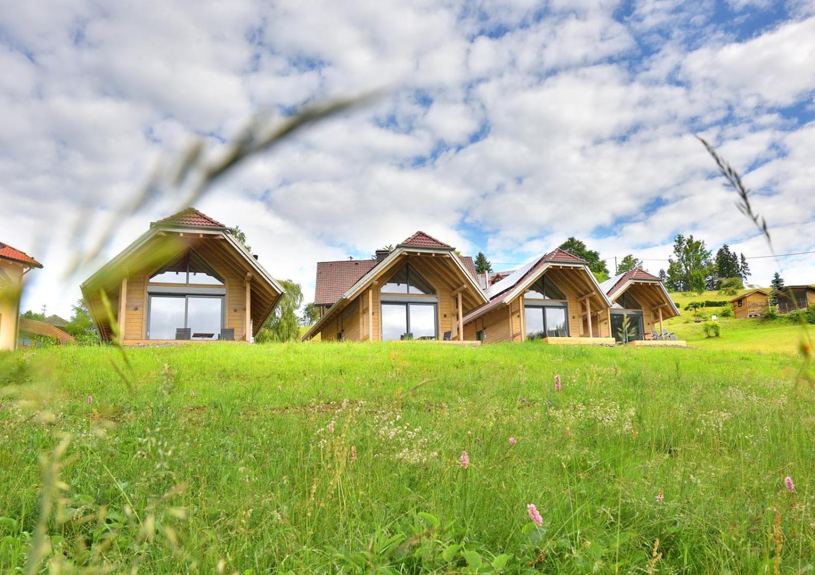 Chalets Am Roessle Todtmoos Zewnętrze zdjęcie